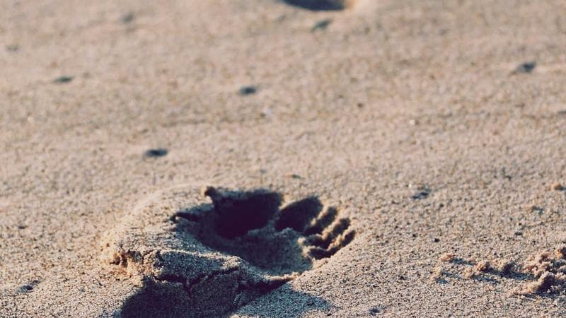 Litecoin Price Predictions 2026-2027