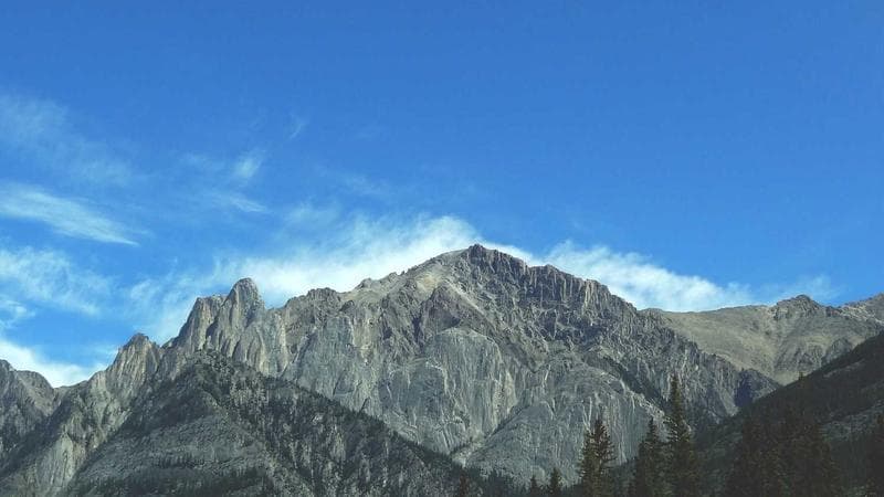 Tether price prediction in 2026